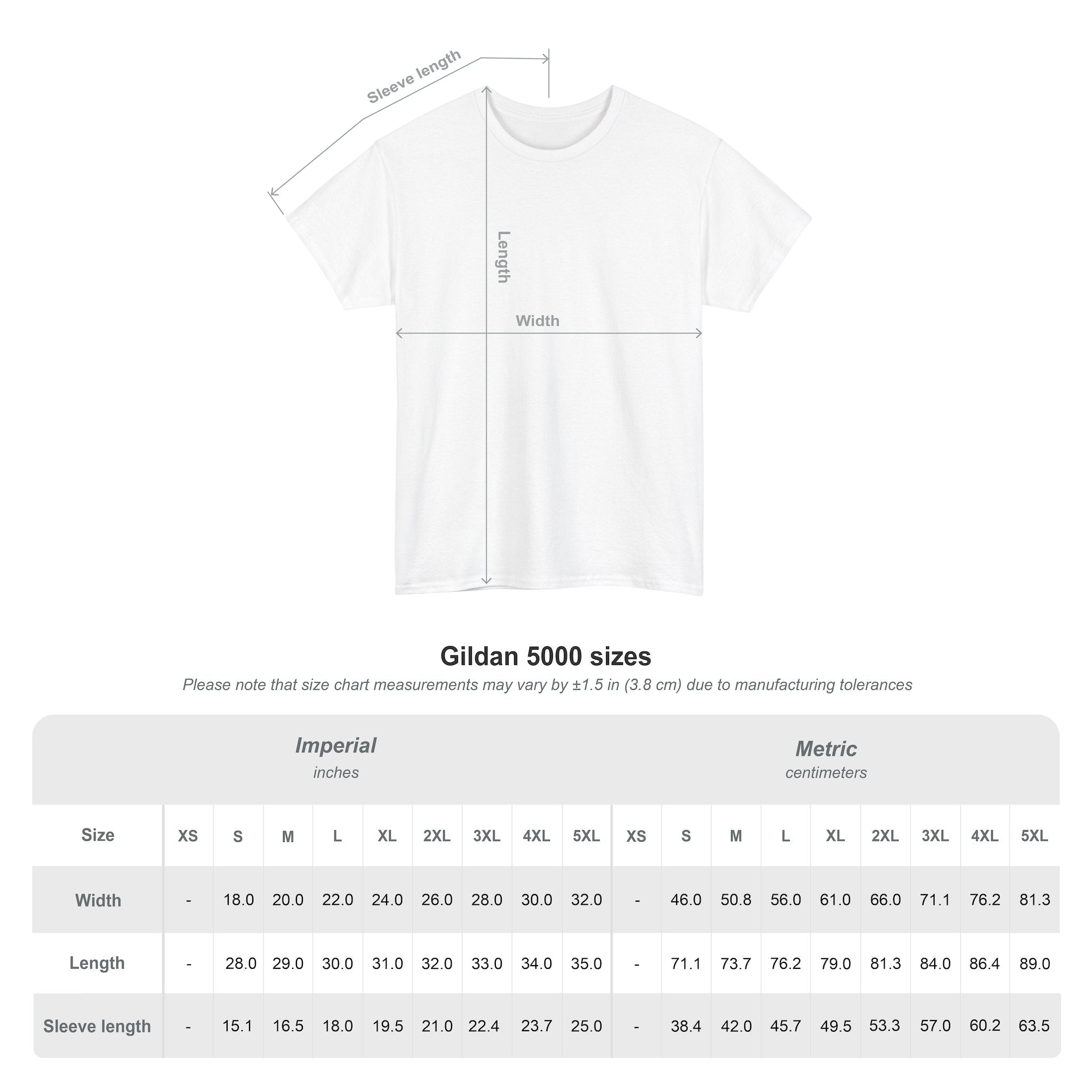 Stay Pawsitive – Hologram Cat 2025 | Unisex Heavy Cotton T-Shirt
